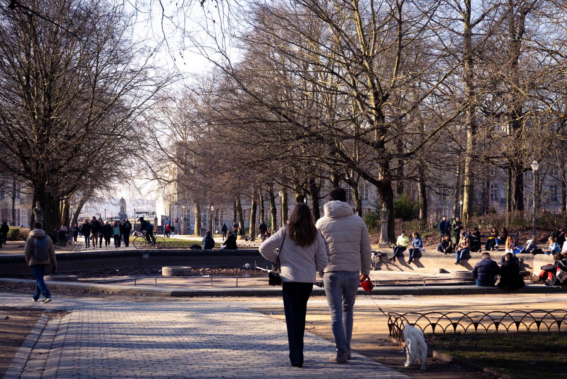 Winter afternoon in a Brussels park