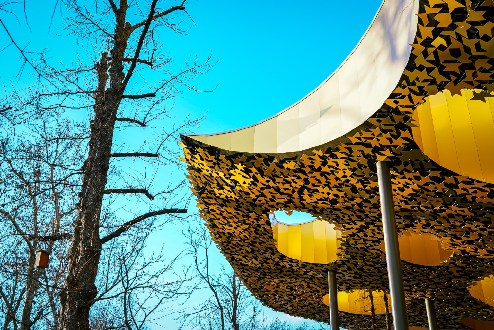 Curved yellow pavilion against a clear sky
